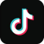 TikTok Icon